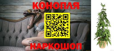 амф Анапа