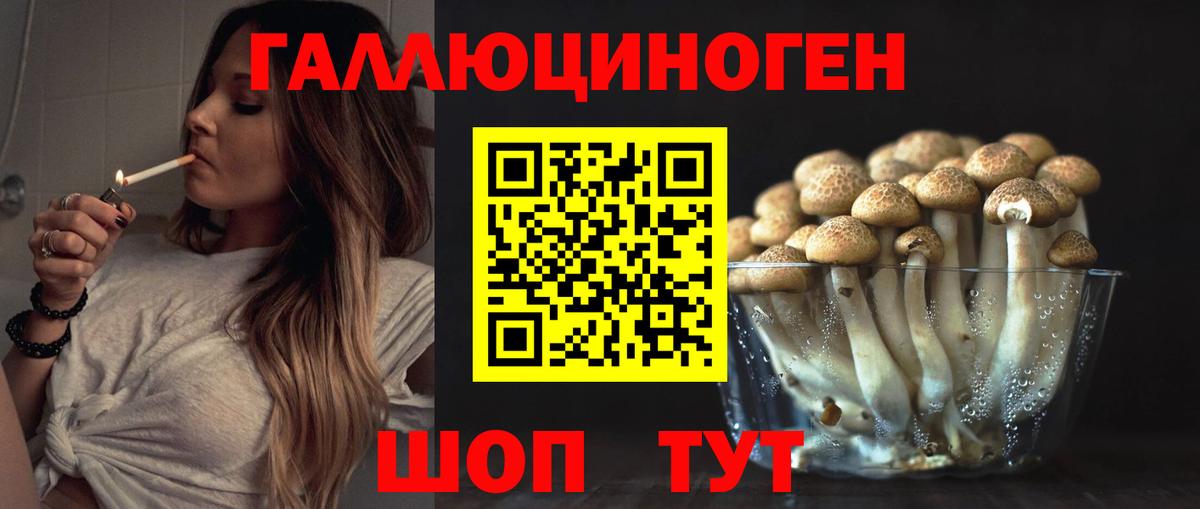 Галлюциногенные грибы прущие грибы  купить закладку  Саянск  Вход с VPN  Галлюциногенные грибы GOLDEN TEACHER 